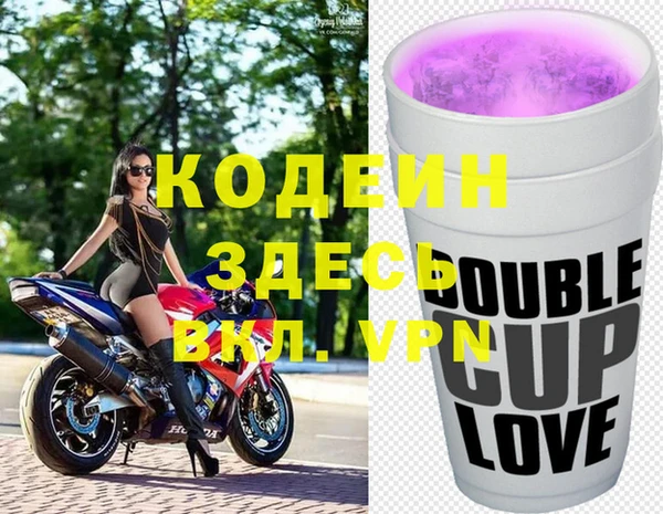 гидра Абаза