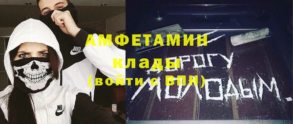 индика Алексеевка